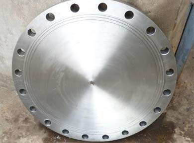 Stainless Steel Blind Flange